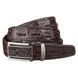 Ремень-автомат CROCODILE LEATHER 18171 из натуральной кожи крокодила Коричневый