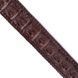 Ремень-автомат CROCODILE LEATHER 18171 из натуральной кожи крокодила Коричневый