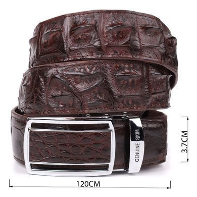 Ремень-автомат CROCODILE LEATHER 18235 из натуральной кожи крокодила (каймана) Коричневый