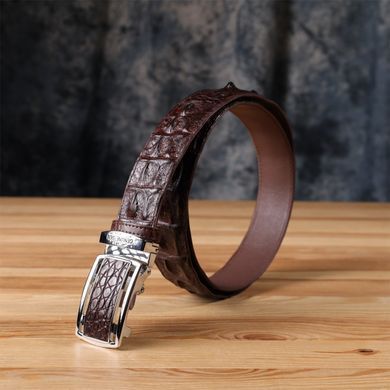 Ремень-автомат CROCODILE LEATHER 18235 из натуральной кожи крокодила (каймана) Коричневый